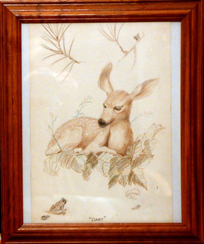 Lee Franclemont, study of 'Dash and Dart', 1960s, pencil on paper. Photo credit Kelise Franclemont.